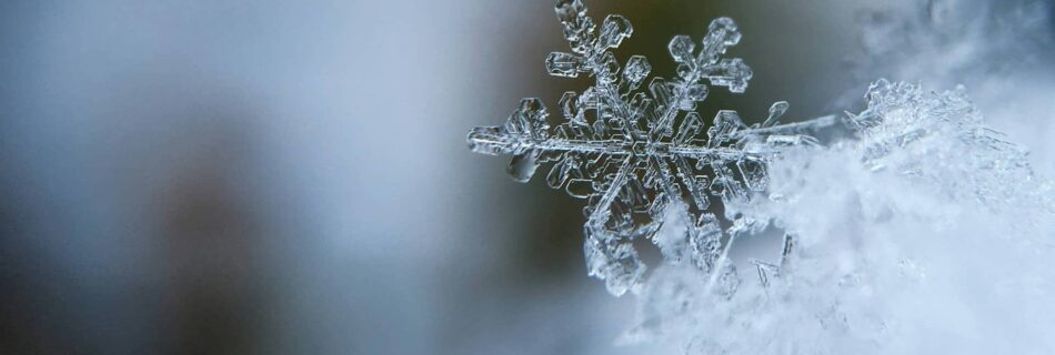 Supporting Your Mental Health During the Holiday Season